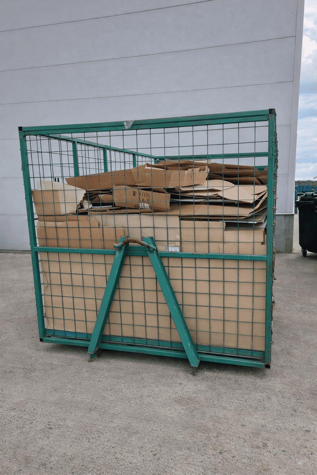 Activitate Eco Mitadia Intermed