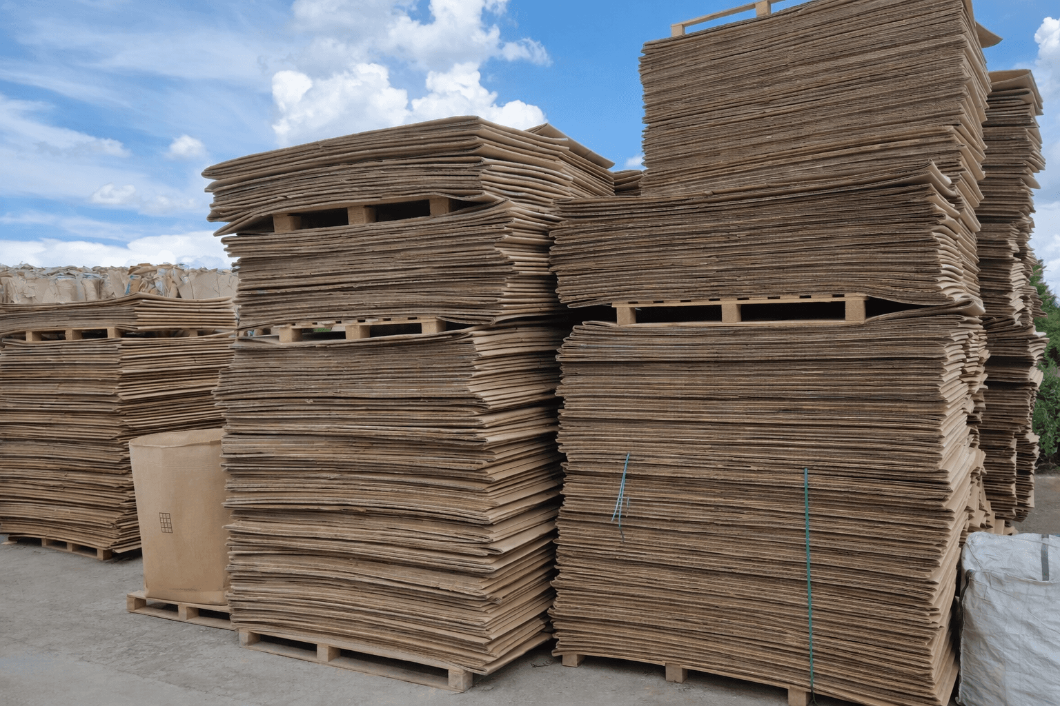 Activitate Eco Mitadia Intermed